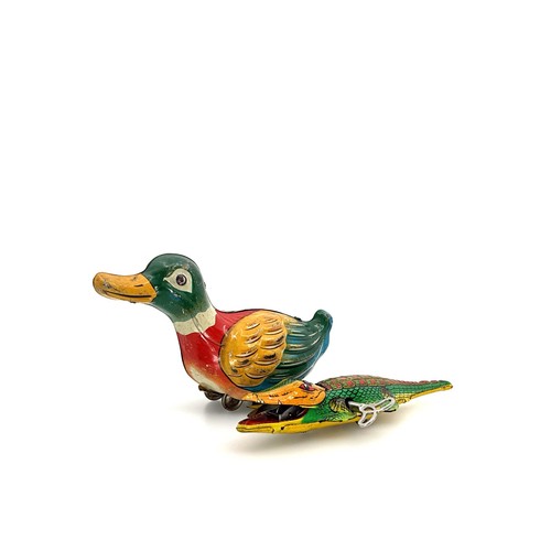 Gama anatra coccodrillo - gama,