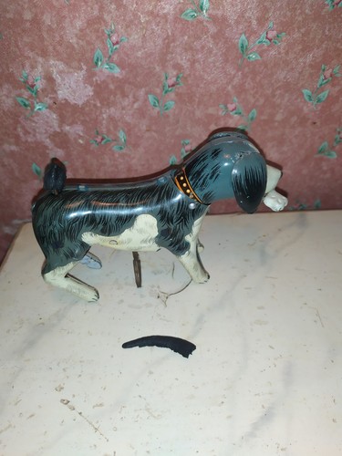 Vecchio cane latta - vecchio,